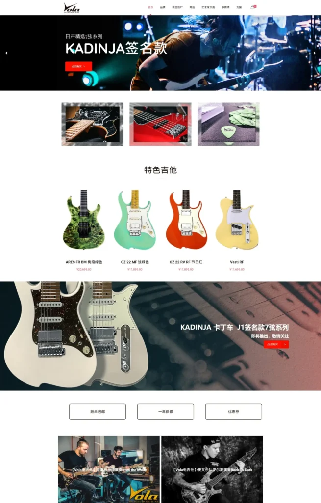 Vola Guitar